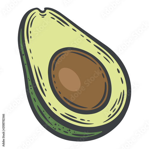 Single avocado half with large round brown pit, pale creamy flesh and dark green skin edge, isolated colourful hand-drawn vector illustration, line art contour for vegan menu or food blog sticker
