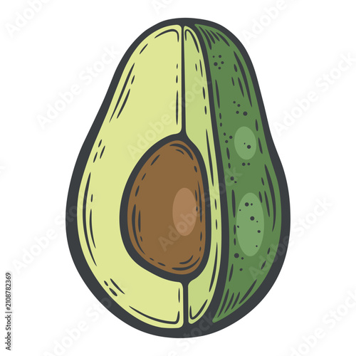 Vertical avocado cut in half showing creamy flesh and brown seed with dark speckled skin on one side, isolated colourful hand-drawn vector illustration, line art contour for organic food label
