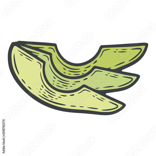 Peeled avocado slices with creamy green flesh, three skinless pieces, isolated colourful hand-drawn vector illustration, line art contour for salad bar menu
