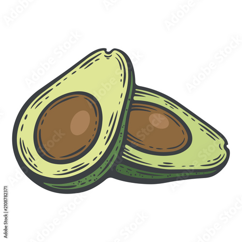 Two avocado halves with creamy flesh and brown pit, isolated colourful ingredient for healthy food menu, hand-drawn vector illustration, line art contour for vegan cafe label or organic packaging