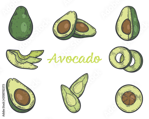 Set of whole and sliced avocado fruits, with pit, peeled and cross section views, isolated hand-drawn colourful vector illustration, line art contour for grocery label, cookbook page or food poster