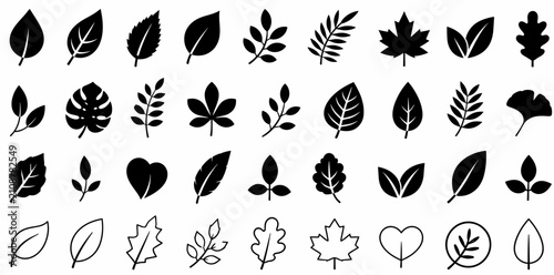 Fotografie Leaf Silhouette Collection with Botanical Shapes