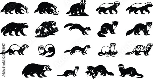 Mustelid Mammal Silhouette Collection Featuring Badgers Ferrets Martens Otters and Wildlife Animal Vector Set