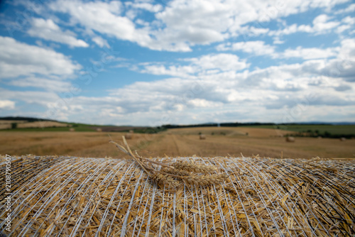 Straw bales on farmland with blue cloudy sky after good harvest of successful farmer