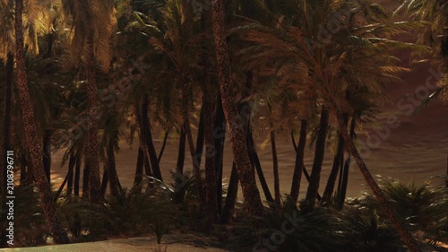 Palm trees are visible in a tropical area. The sunlight illuminates the leaves, creating a warm atmosphere. It appears to be evening as shadows stretch across the ground.