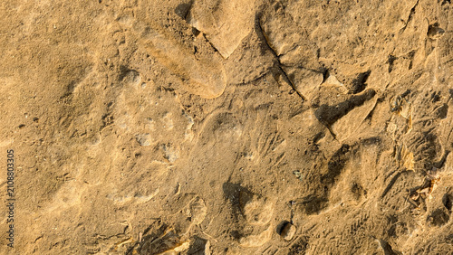 Top view of dry sandy soil surface with faint footprints and shoe impressions, ideal for natural background, desert, or travel concept.