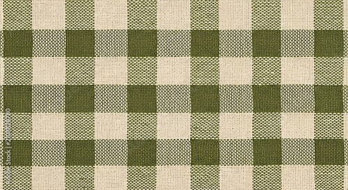 olive green and cream gingham pattern earthy rustic textile design