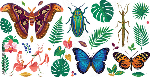 Konstfotografi Exotic tropical insects and bugs vector illustration set featuring atlas moth mo