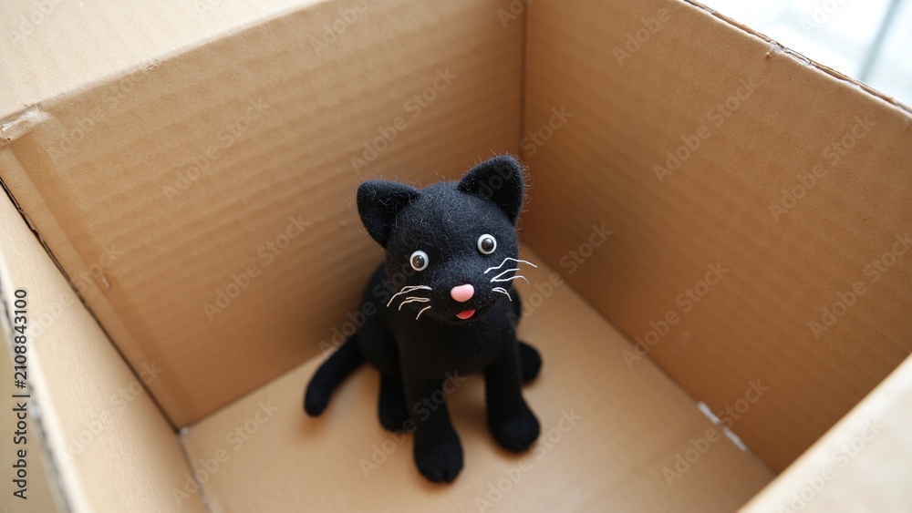 Fototapeta premium Adorable Black Felt Cat on Cardboard Box