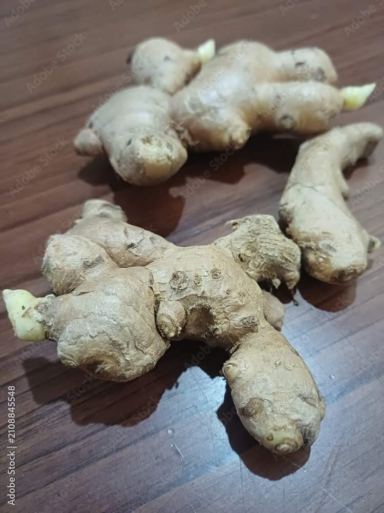 Fototapeta premium Whole fresh unpeeled ginger roots with rough skin laid on dark wooden table. Food ingredient concept 