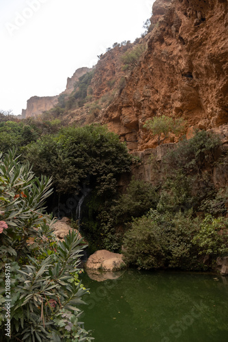 Thin Waterfall Cascading Through Lush Green Gorge at El Ourit Falls Near Tlemcen Algeria
