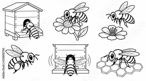 Honey bee collection with hives and flowers, cute cartoon line art