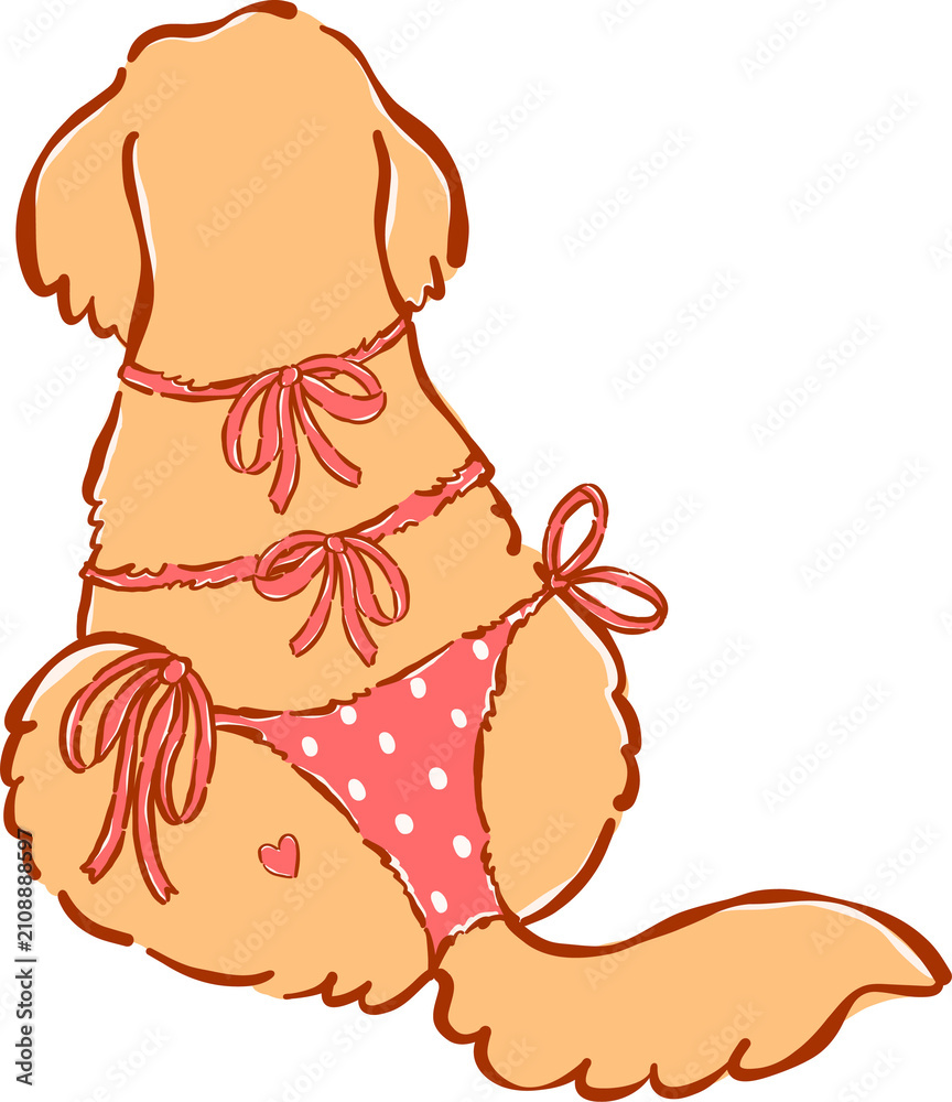 Fototapeta premium Summer Dog Golden Retriever wear Bikini Whimsical Hand Drawn Cartoon Character, turning back pose