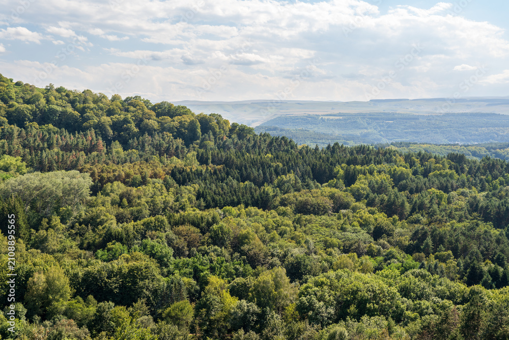 Fototapeta premium Summer Mountains Landscape with Green forest.