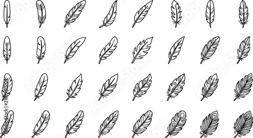 Bild auf Leinwand Diverse lightweight bird feathers line icons collection featuring various natura