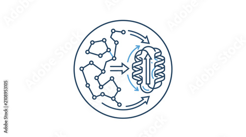Molecular protein folding process diagram