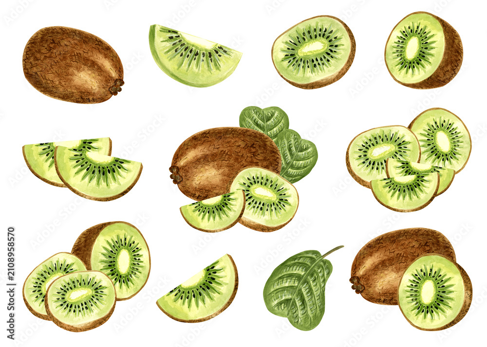 Fototapeta premium Kiwi set of watercolor hand drawn illustrations for healthy eating designs. Clip art of fruit whole, cut half and slice, leaf. Exotic tropical fruit for food product packaging, juice, cosmetics, jam.