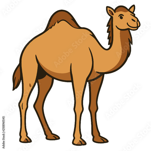 Картината върху платно Single hump dromedary camel cartoon illustration