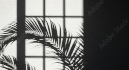 Shadows of palm leaves cast on a window grid with natural light.