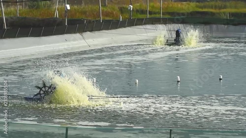 Operating Shrimp Farm with Rotating Paddlewheel Aerators