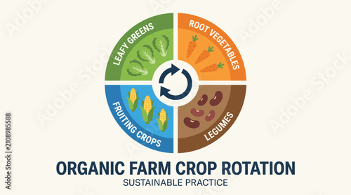 Foto Organic Farm Crop Rotation Sustainable Practice