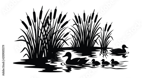 Фотография Ducks and cattails in black silhouette ducklings