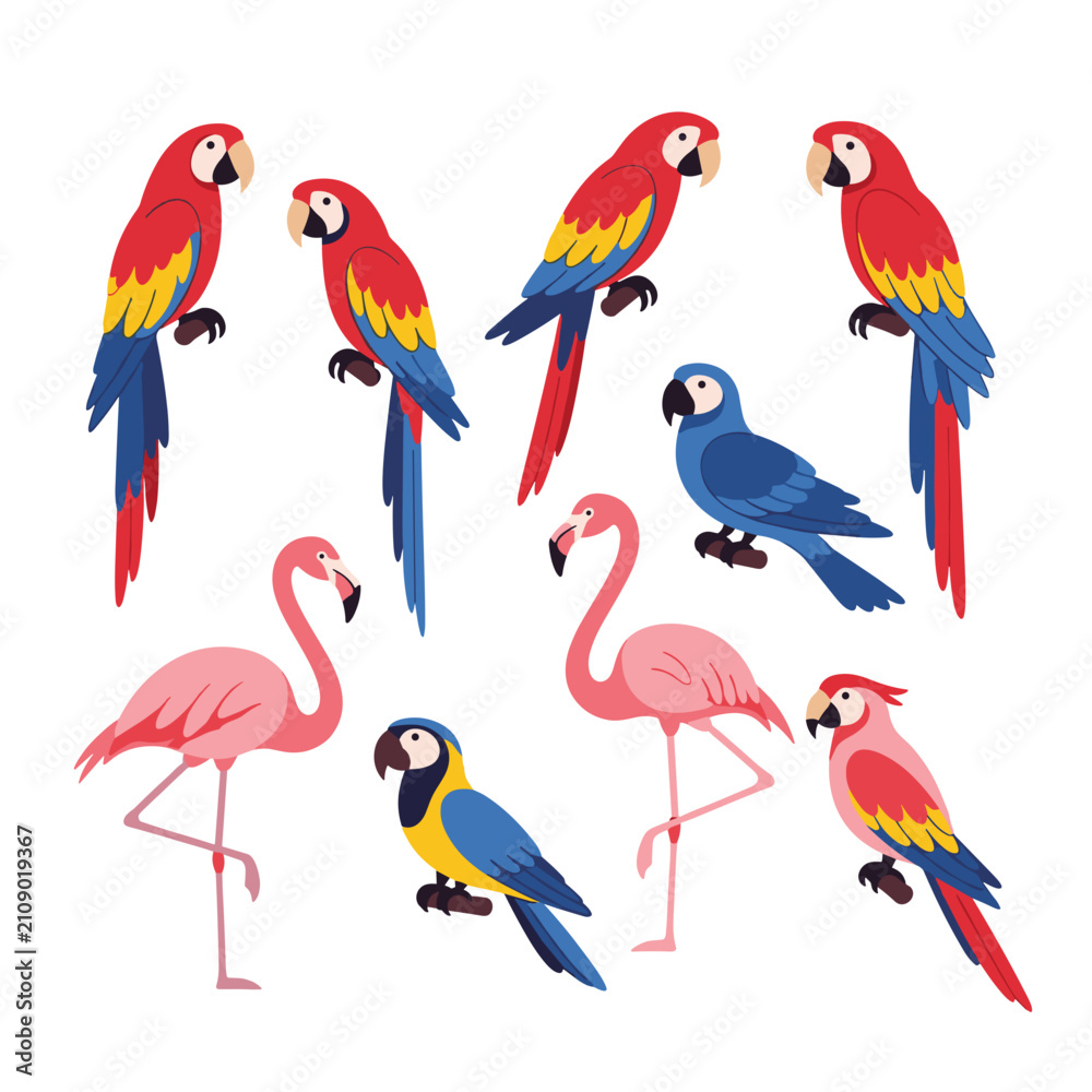 Naklejka premium Exotic Tropical Birds and Flamingos Collection