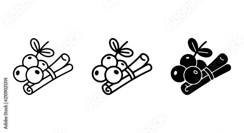 Cinnamon Sticks and Berries Icon Set, Spice Ingredient Vector Graphics, Culinary Element Collection
