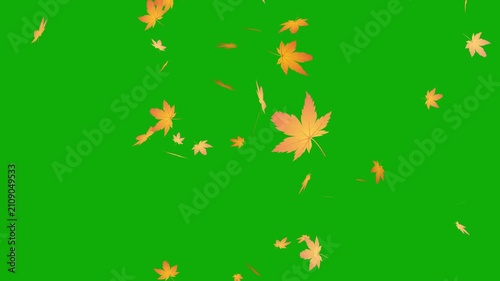green screen falling autumn leaves background, autumn leaves falling animation chroma key transition overlay.