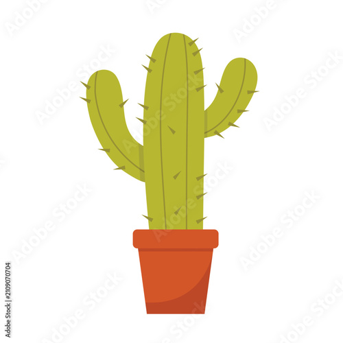 Green cactus in pot isolated on white background