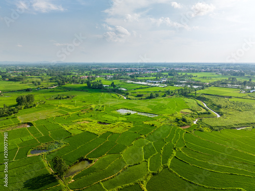 Fotografie Aerial shot of vibrant green farmland, small water bodies, trees, and distant rural settlement under clear sky