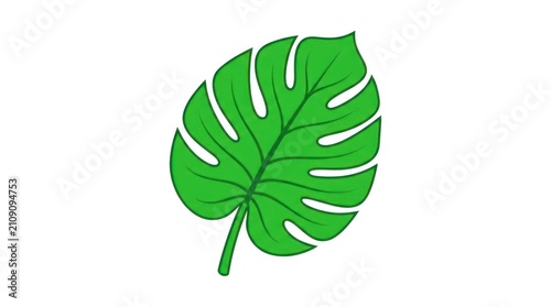 Green monstera leaf icon. Tropical jungle foliage illustration for eco design.