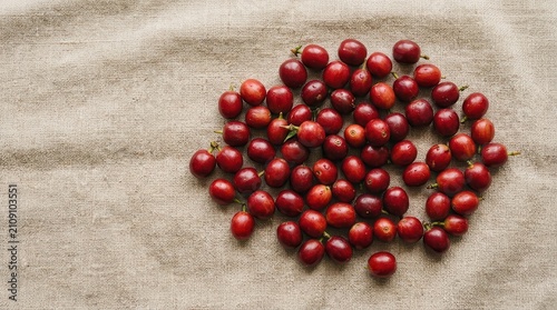 cranberries on burlap background