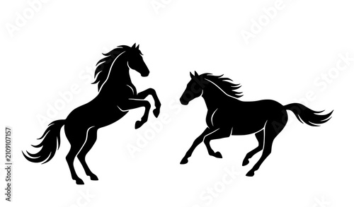 Bild auf Leinwand Dynamic horse silhouettes rearing and galloping horses in black and white