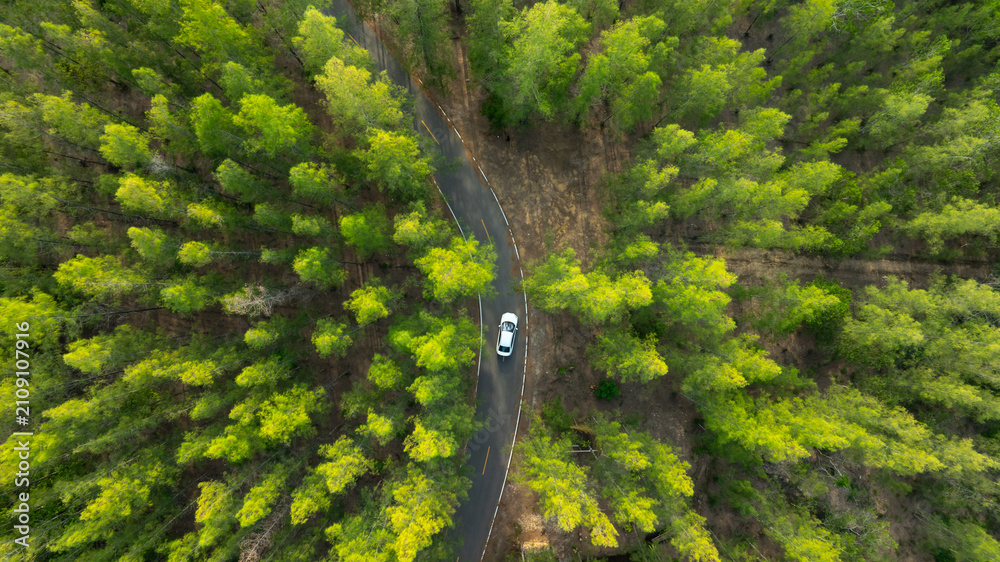 Fototapeta premium Aerial view of dark green forest road and white electric car Natural landscape and elevated roads Adventure travel and transportation and environmental protection concept