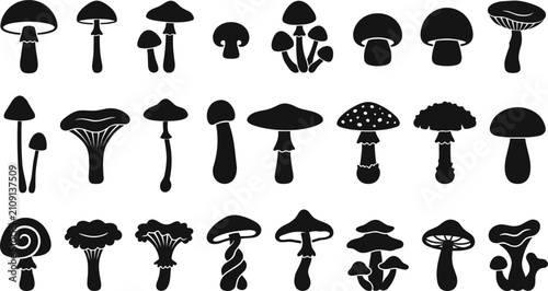 Foto Large Vector Collection of Mushroom Silhouette Icons Featuring Edible Fungi Wild