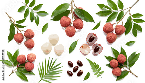 Foto Large Vector Collection of Realistic Lychee Fruit Bunches Fresh Tropical Leaves