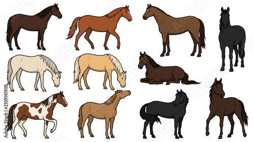 Various Horse Breeds in Different Poses and Colors.