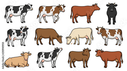 Various Illustrations of Different Cow Breeds and Types.