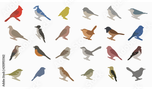 Tableau sur toile Common Southeastern Backyard Feeder Birds Flat Vector Collection Isolated on Whi