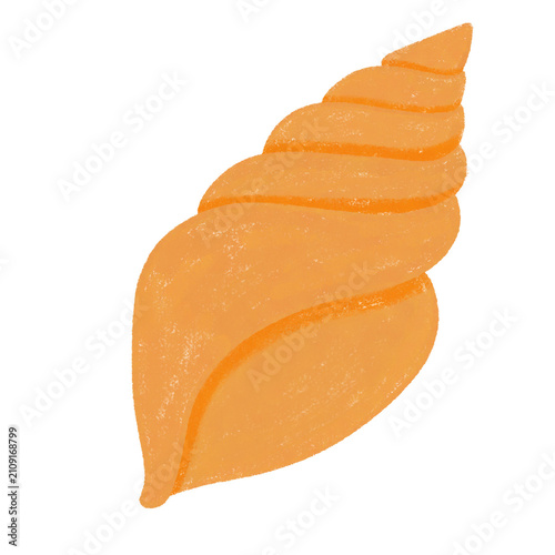 Shell-7