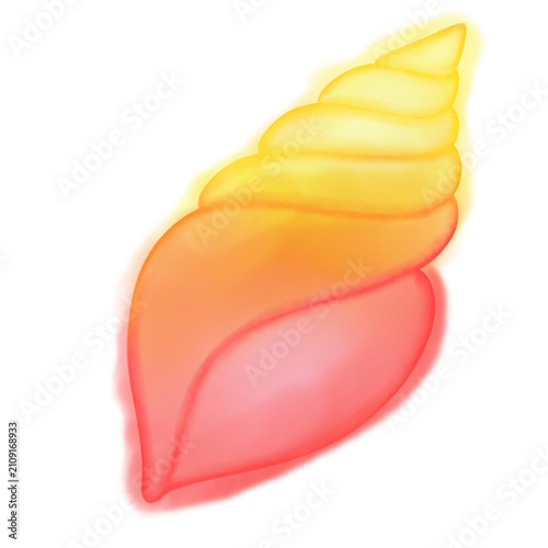Shell-8