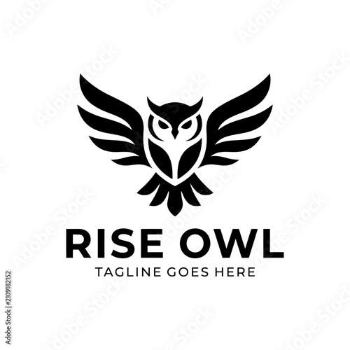 Fotografie Symmetrical owl icon symbolizing intelligence and vision