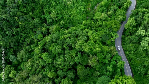 Natural forest corridor with modern transportation access, representing Climate Strategy, Net Zero Transition, Carbon Credit Market, Renewable Energy support, Sustainable Mobility, ESG governance, and