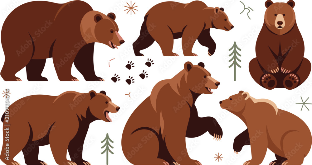 Obraz premium Brown Bear Collection Vector Set with Standing, Walking, Sitting, and Wild Forest Bear Illustrations Isolated on White Background