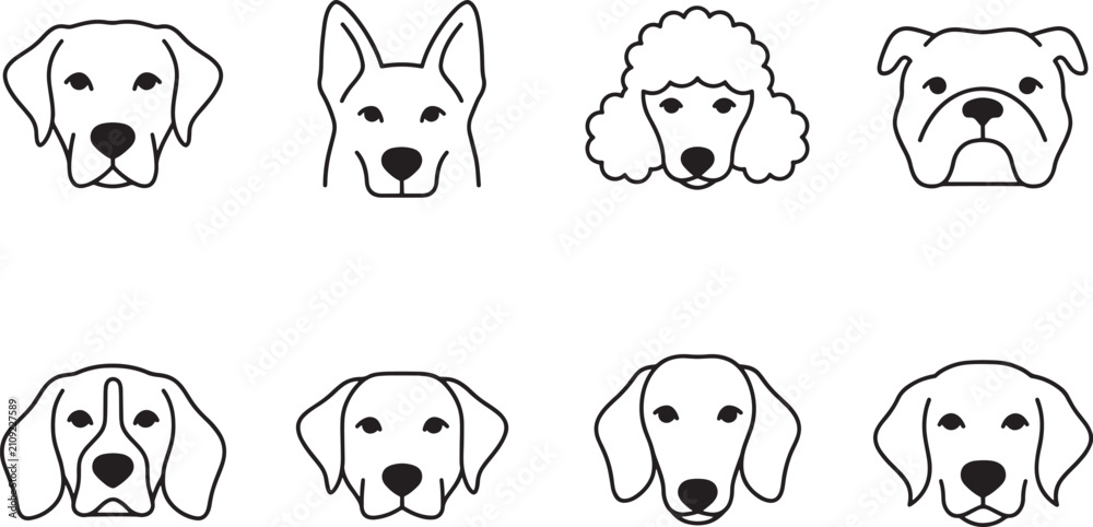 Obraz premium Collection of eight distinct dog breed head illustrations in outline style featuring various breeds like poodle, bulldog, and labrador for pet lovers.