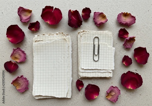 Whispers of Petals, Notes Unwritten
