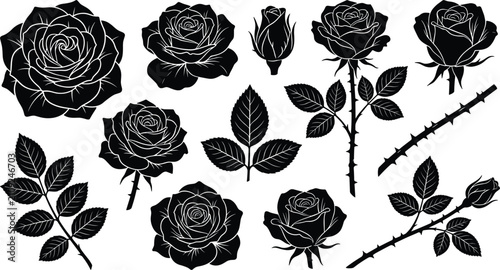 Obraz na plátně Black rose silhouette vector set with blooming flowers buds leaves stems and tho