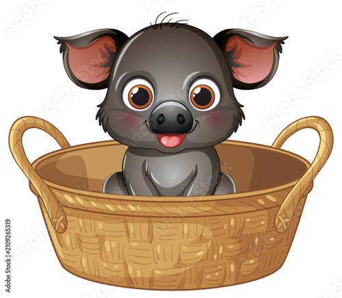 Cute Cartoon Baby Wild Boar Sitting Inside a Woven Wicker Basket