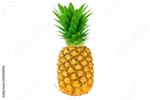 Canvastavla Whole Fresh Pineapple with Green Leafy Crown